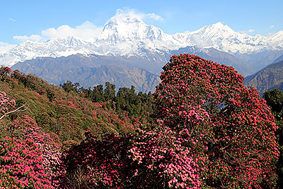 Annapurna_2.jpg
