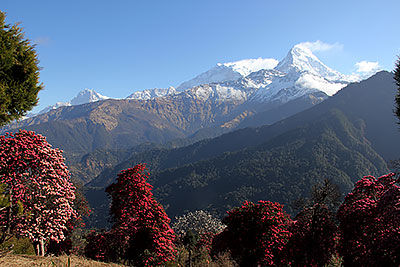 Annapurna_3.jpg