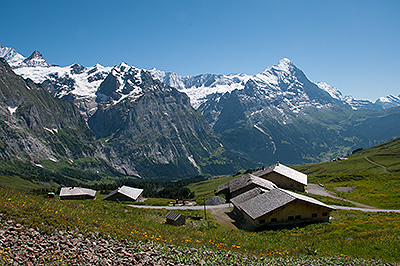 Grindelwald_k04.jpg