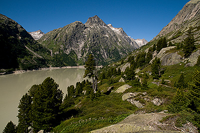 Lauteraar_k02.jpg
