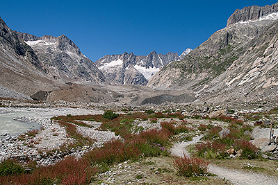 Lauteraar_k03.jpg